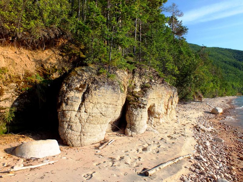 ������������ ������