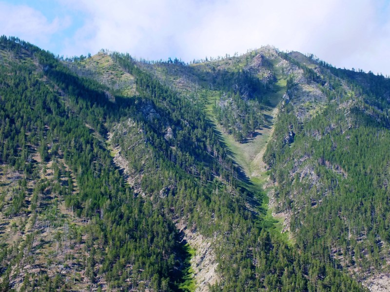 ���-��������� ������ ������� ����