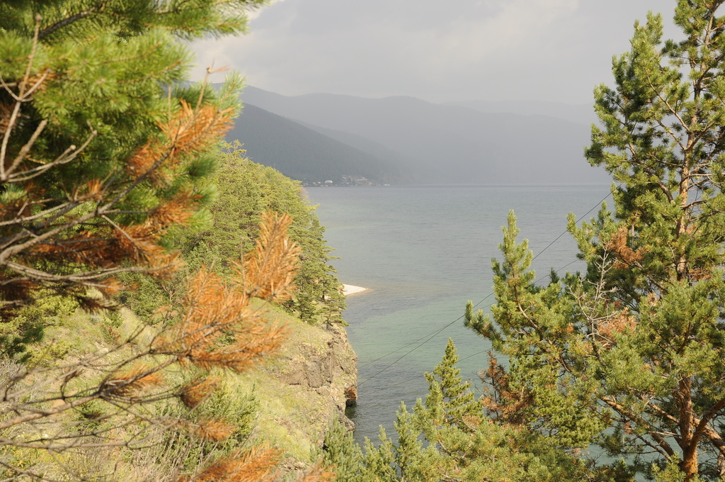 ��������� �����������