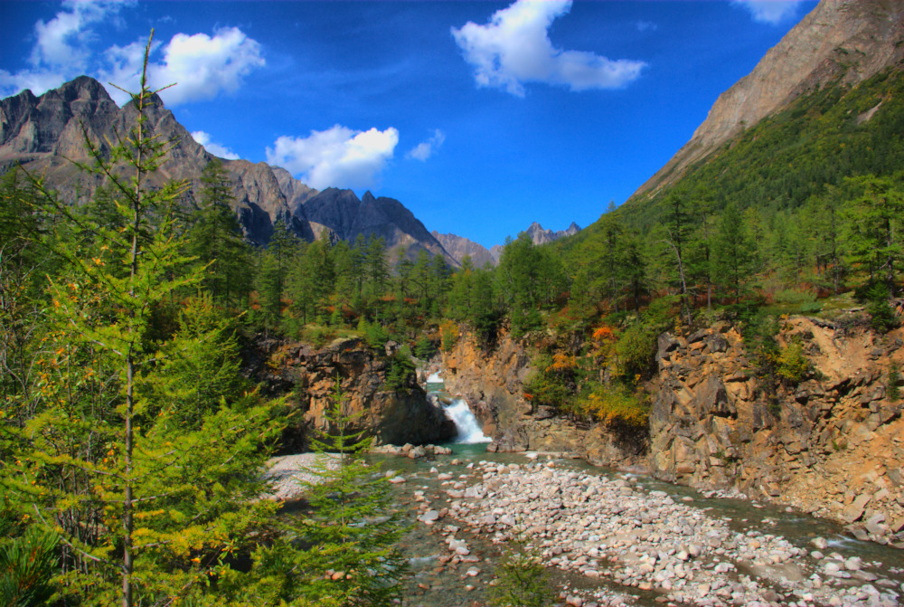 ����������� ������ ��������