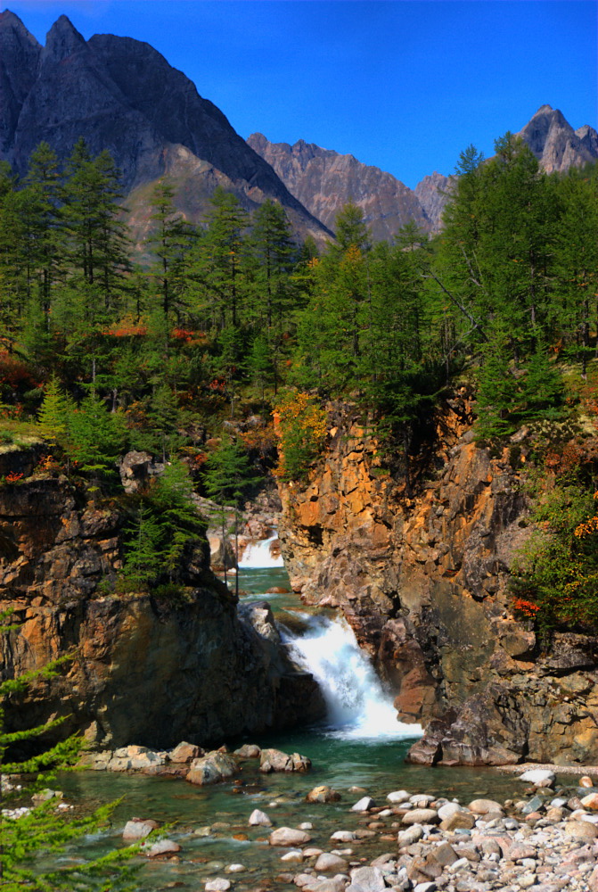 �������� ��������