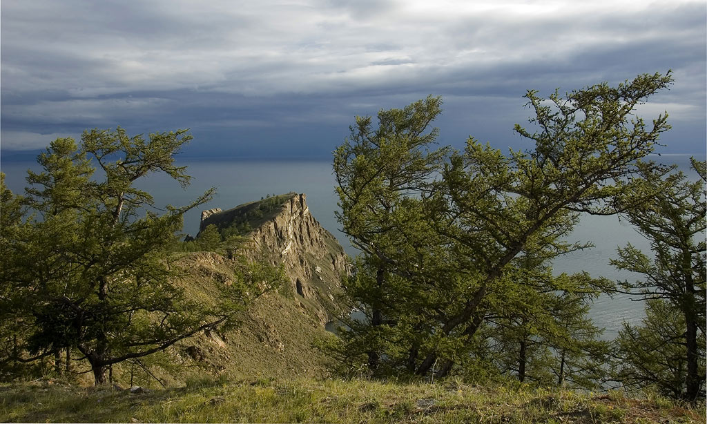 �������� �����