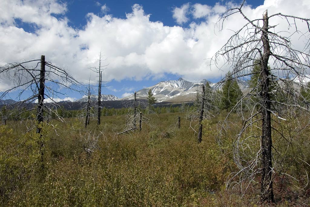 �����-������.3491 �.