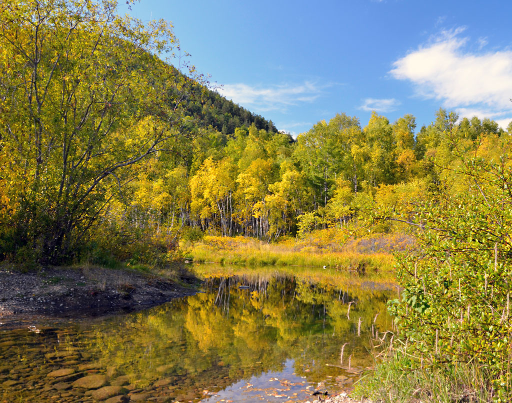 ������ �����