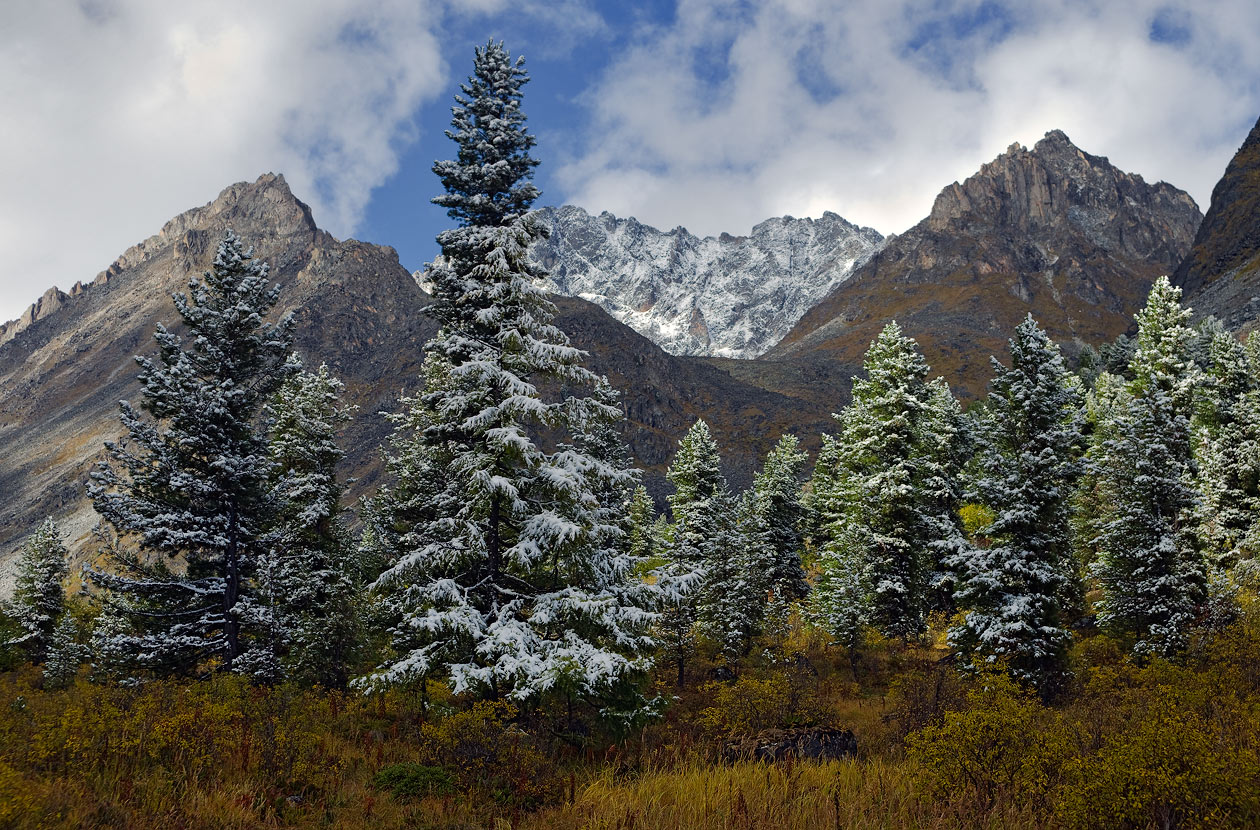 ���� ����