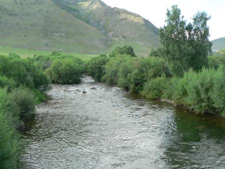 ���� ����� ����� ������ � ������.