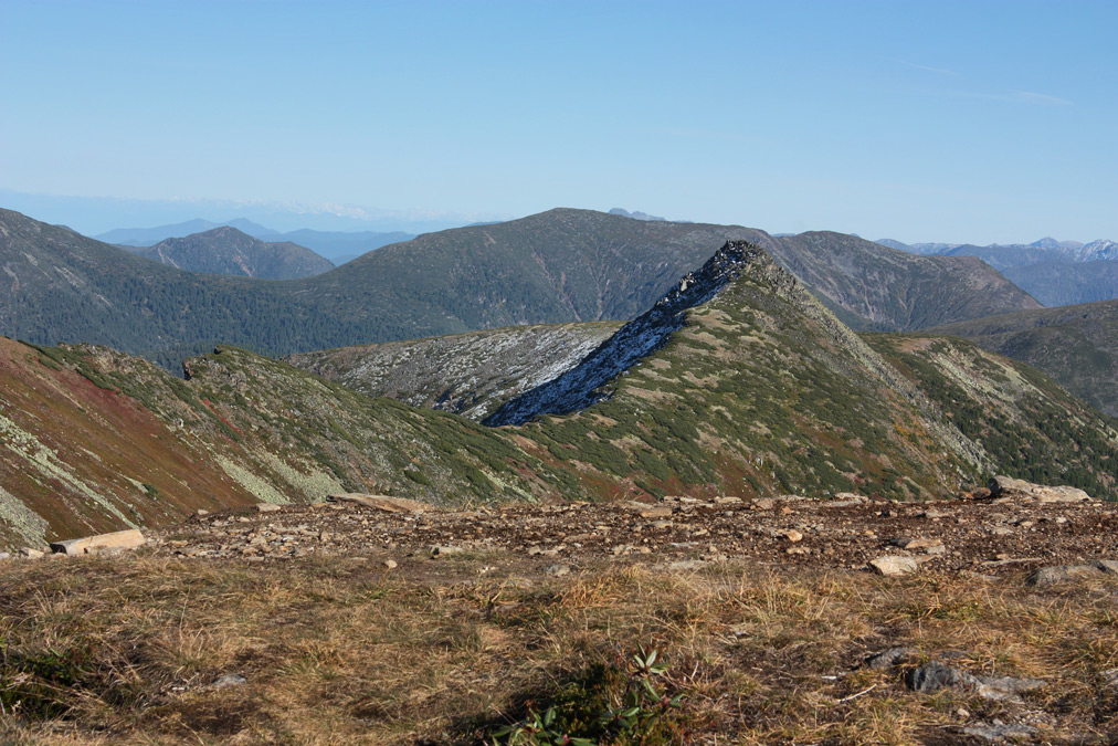 ������� �����-����� � ������ ����.