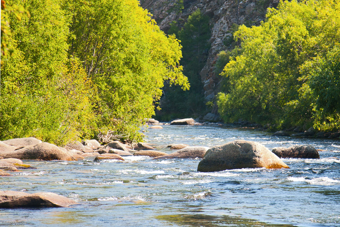 �. �����