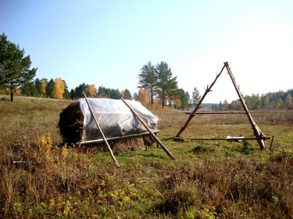 � ���� ������.