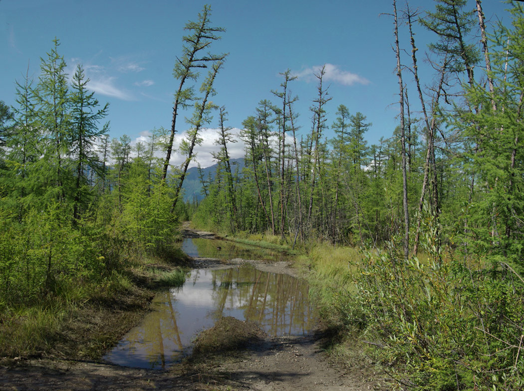 ������ � ����