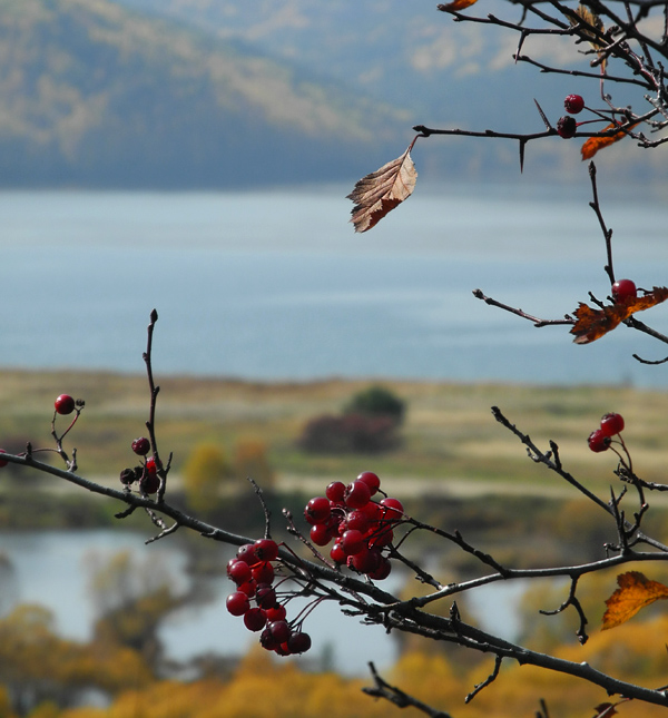 �� ����� �������, ����!