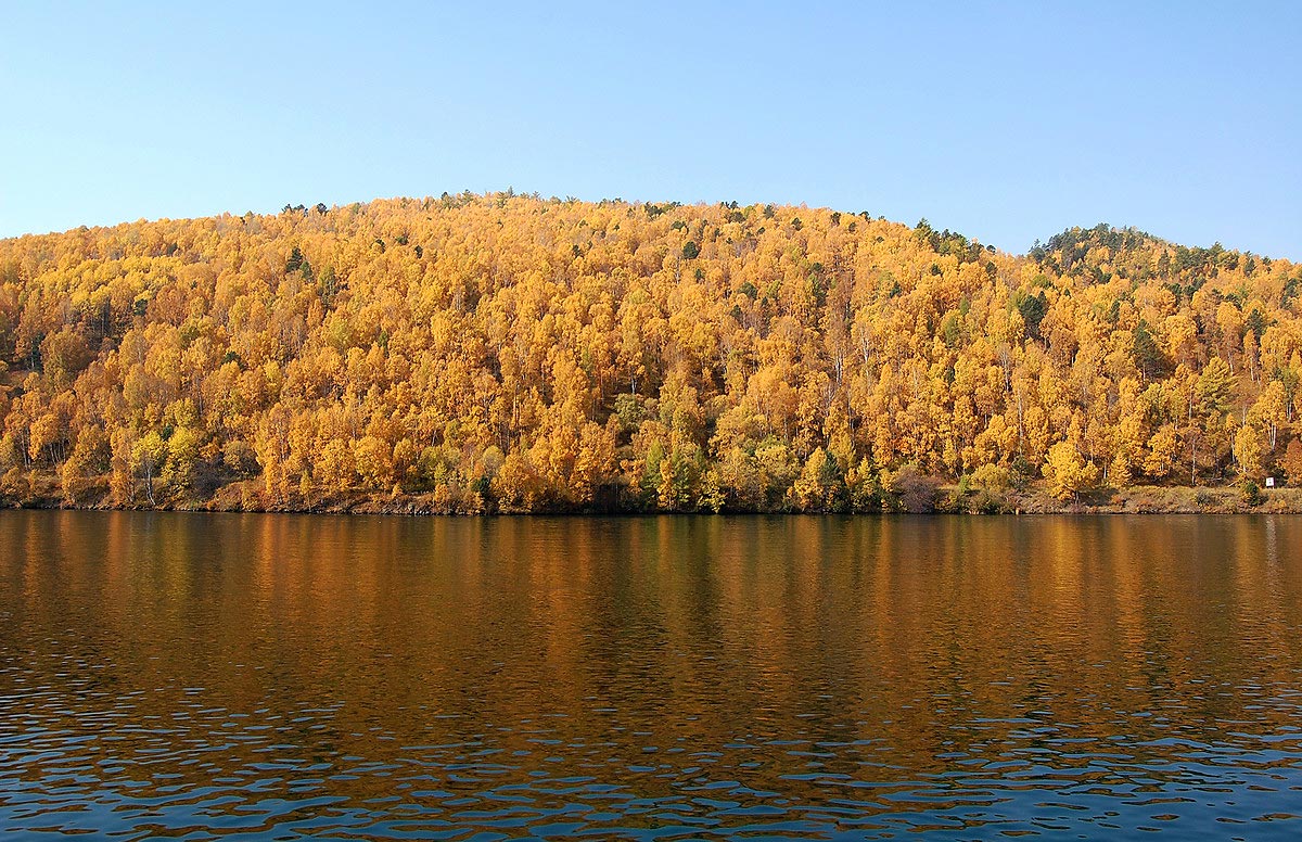 ������� ��� ����� ��� �����..