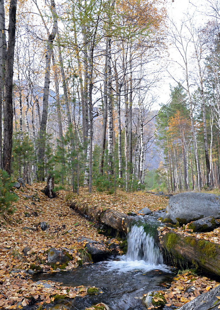 ������� ���