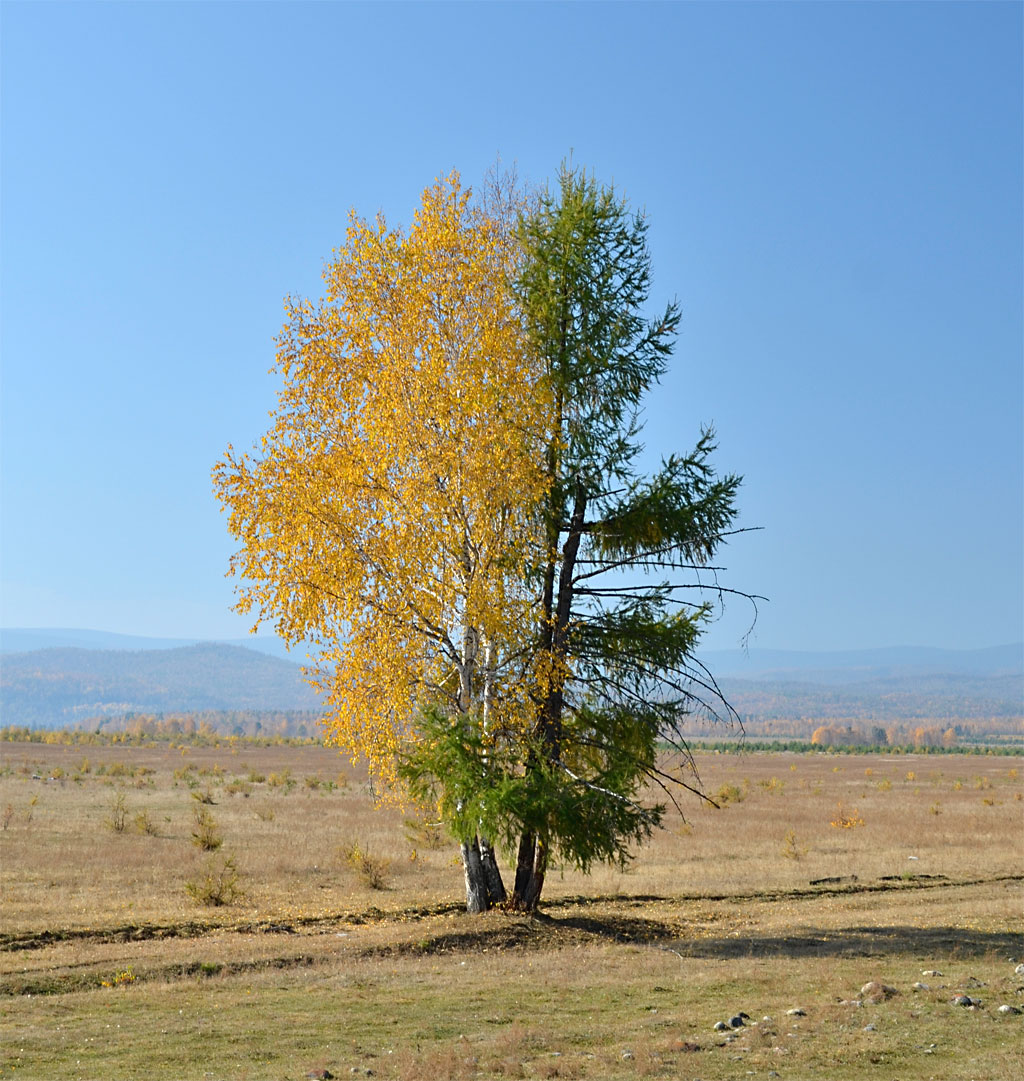 ��� � ��