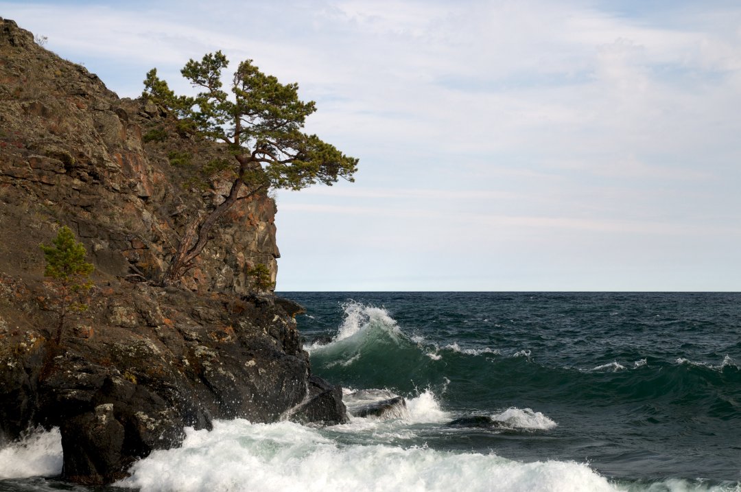 ��� ��� � �����