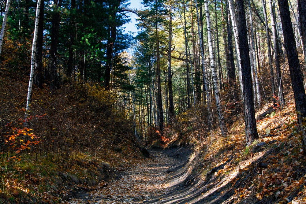 ������ � ������