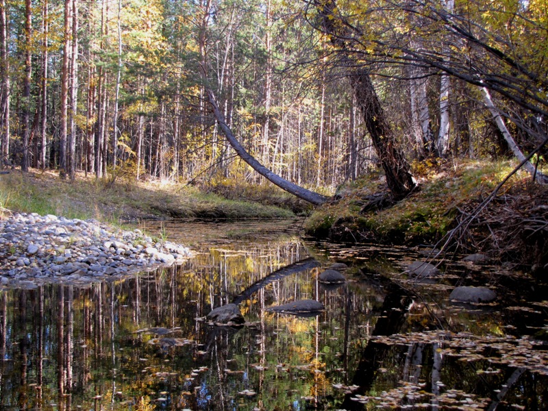 ������������� ������ ��� ���������