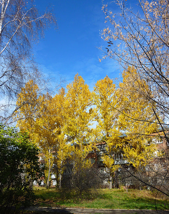 ����� � ������. 