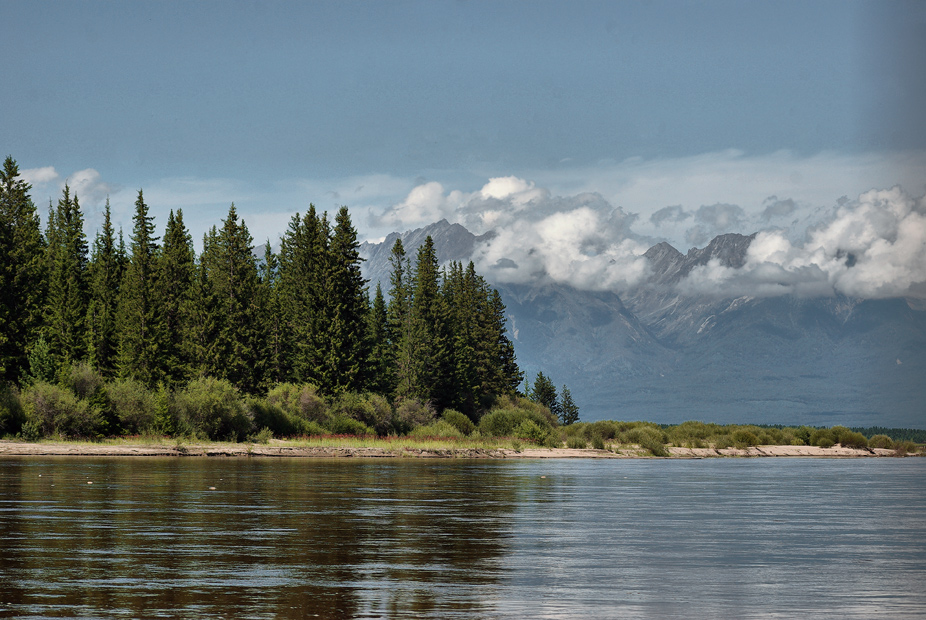 �� ������