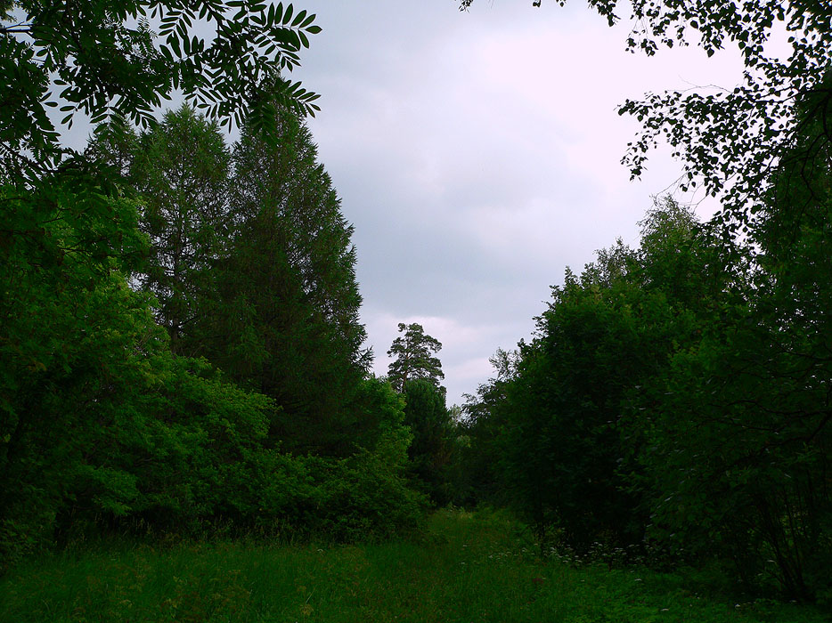 ������������ �����