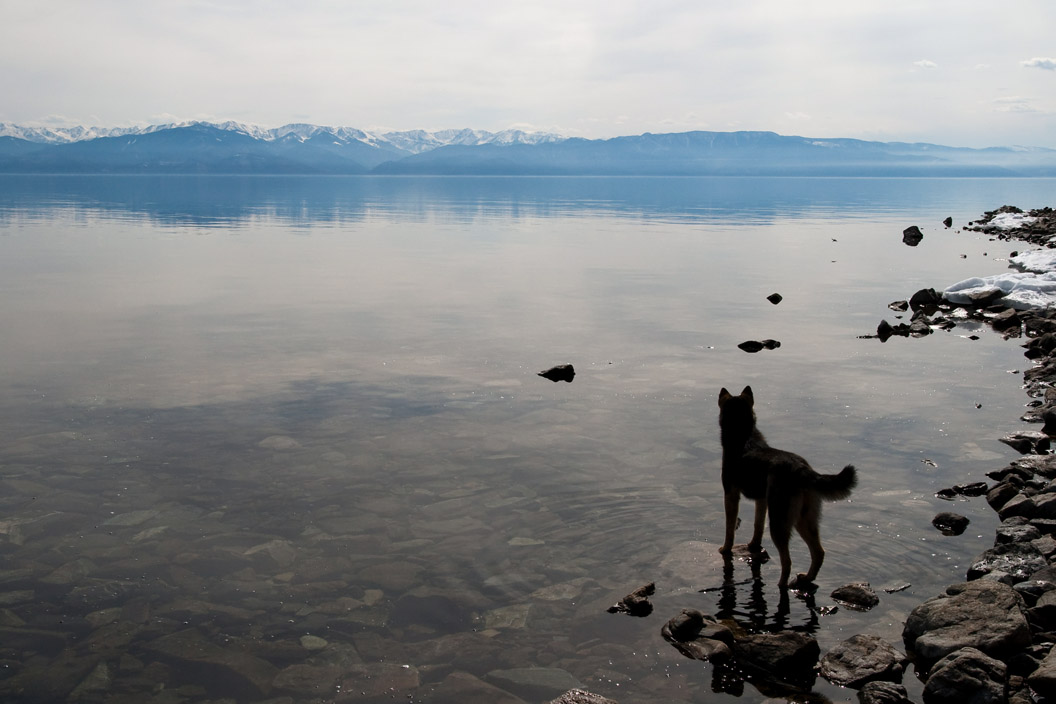 ϸ��� � �����