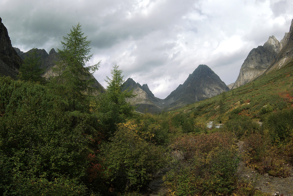 ����� ����� �����