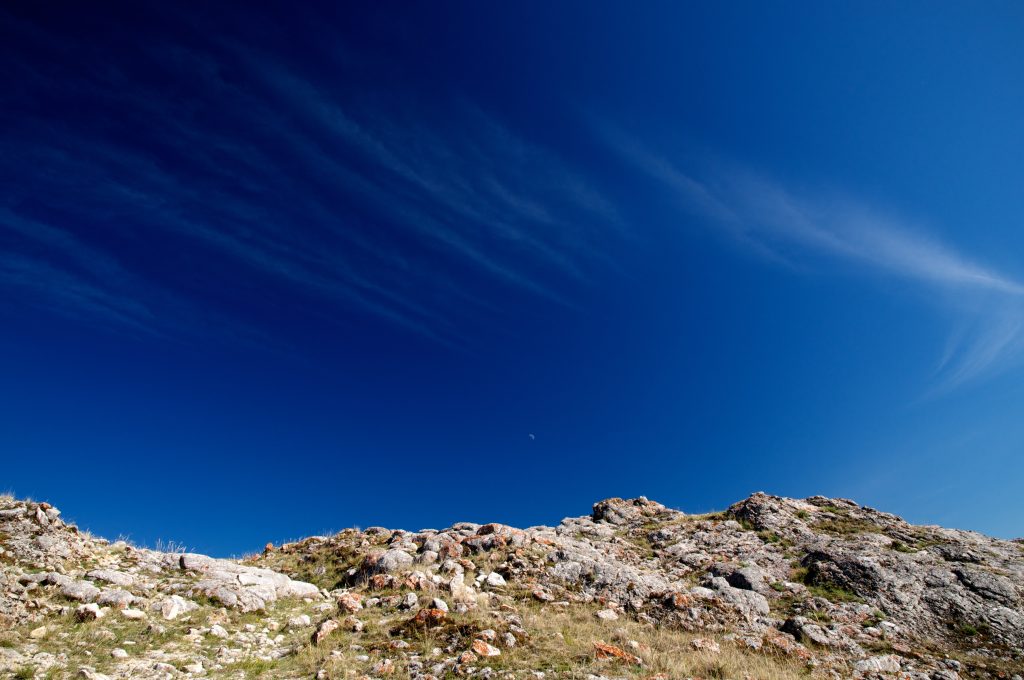 ��� �������� ��������