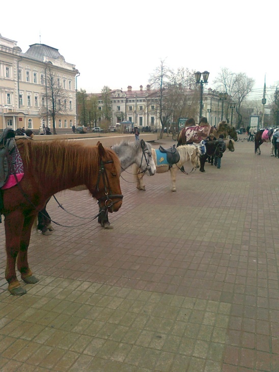 �� � ������.