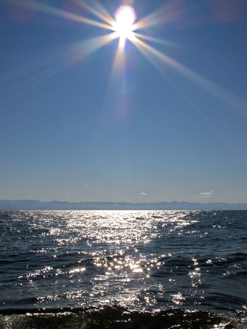 ������....