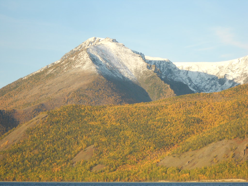 ������� �������