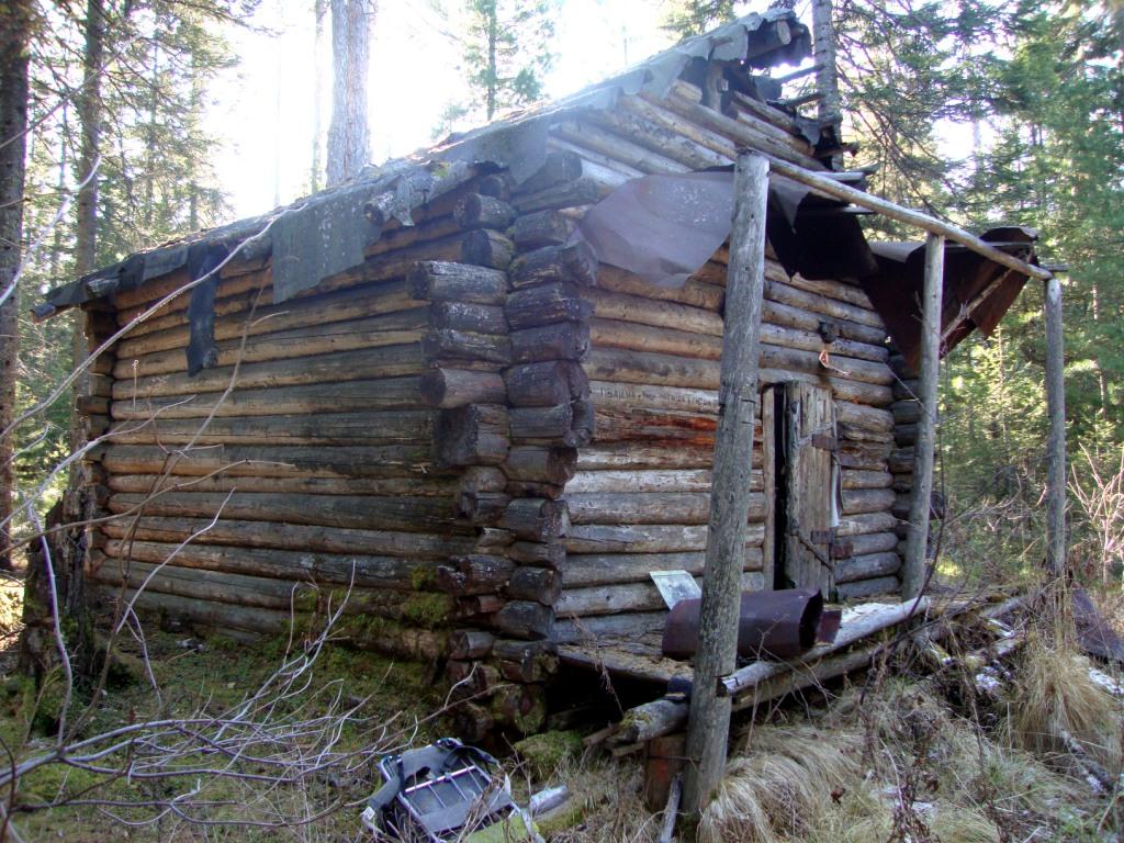 ������ ������