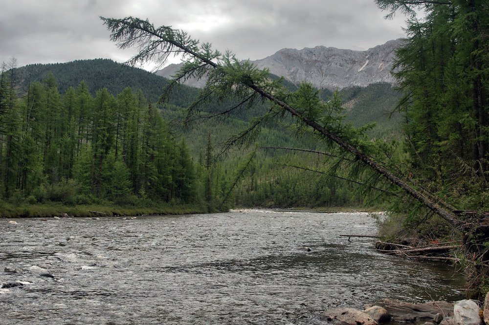 ������ �����