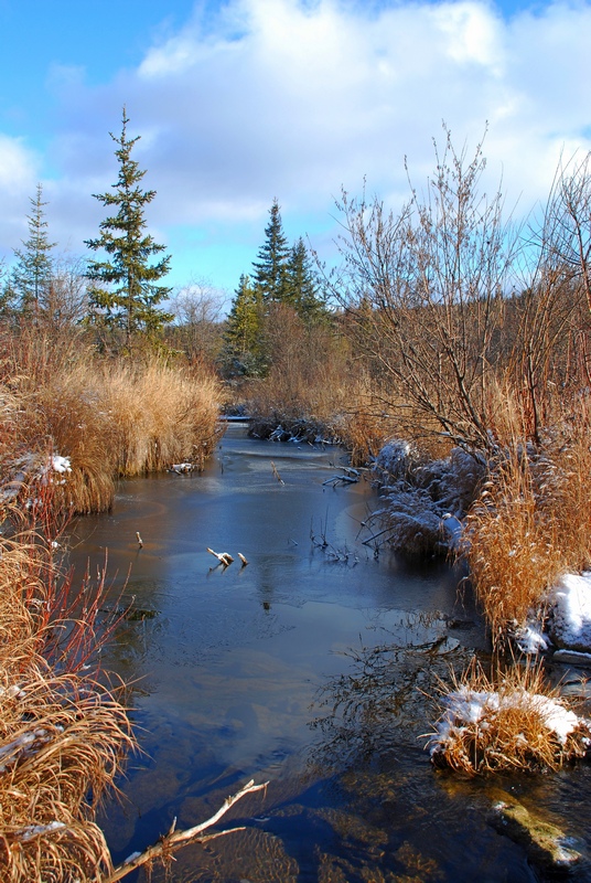 �������� �� ����� �����