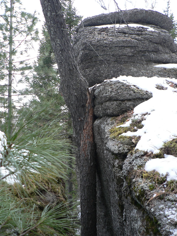 "�����" ��������