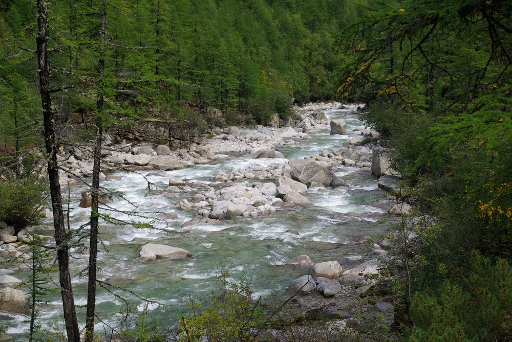 Сакукан река Кодар