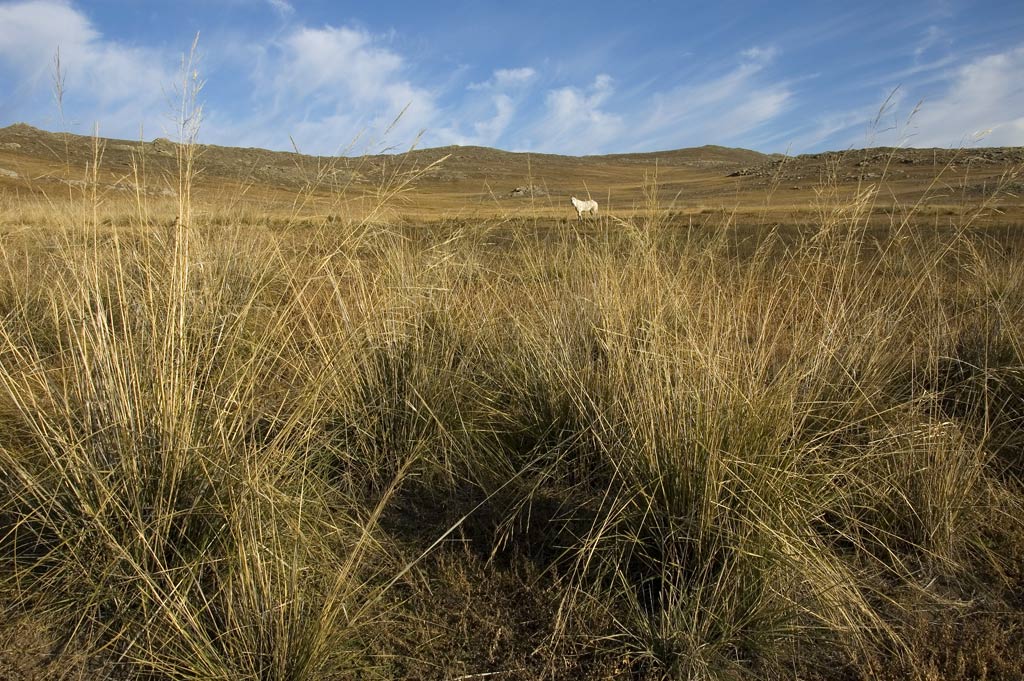 ������ � ����� �������