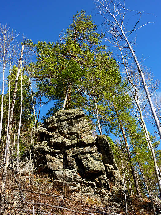 ��������, ������ ����� ) 