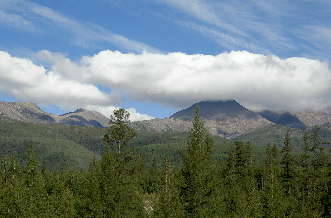 ����������� �� �������