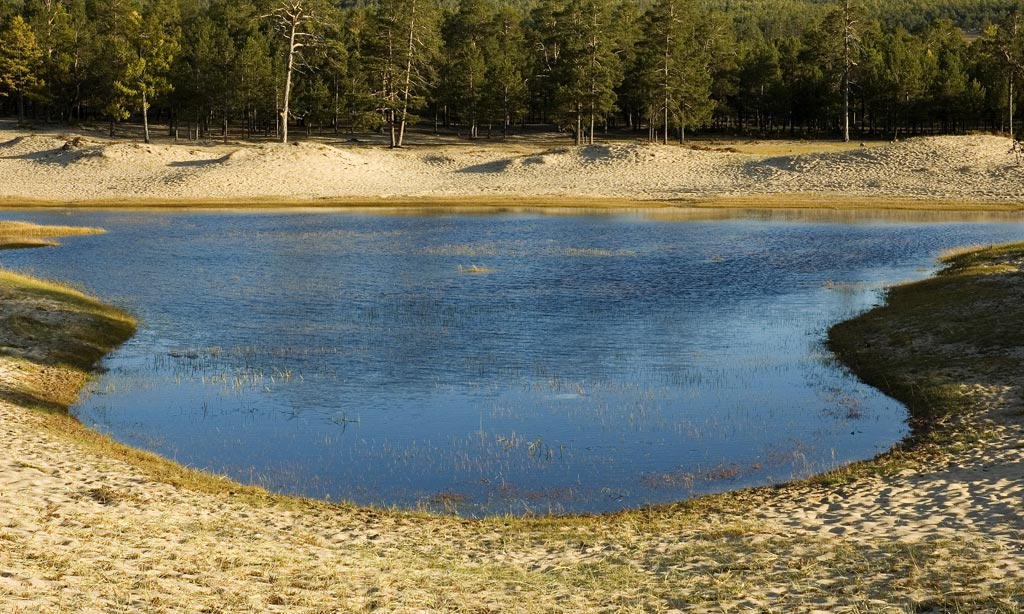 ����� ���������� ������