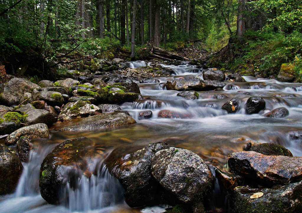 ���������� ������ ���������