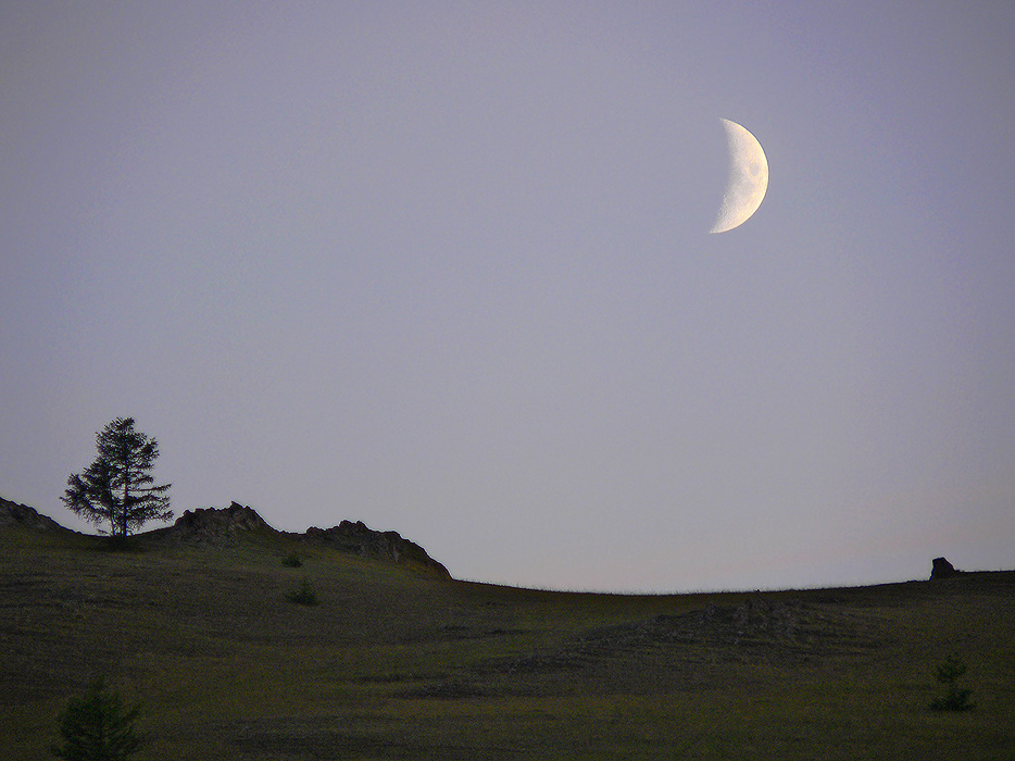 ������ �������