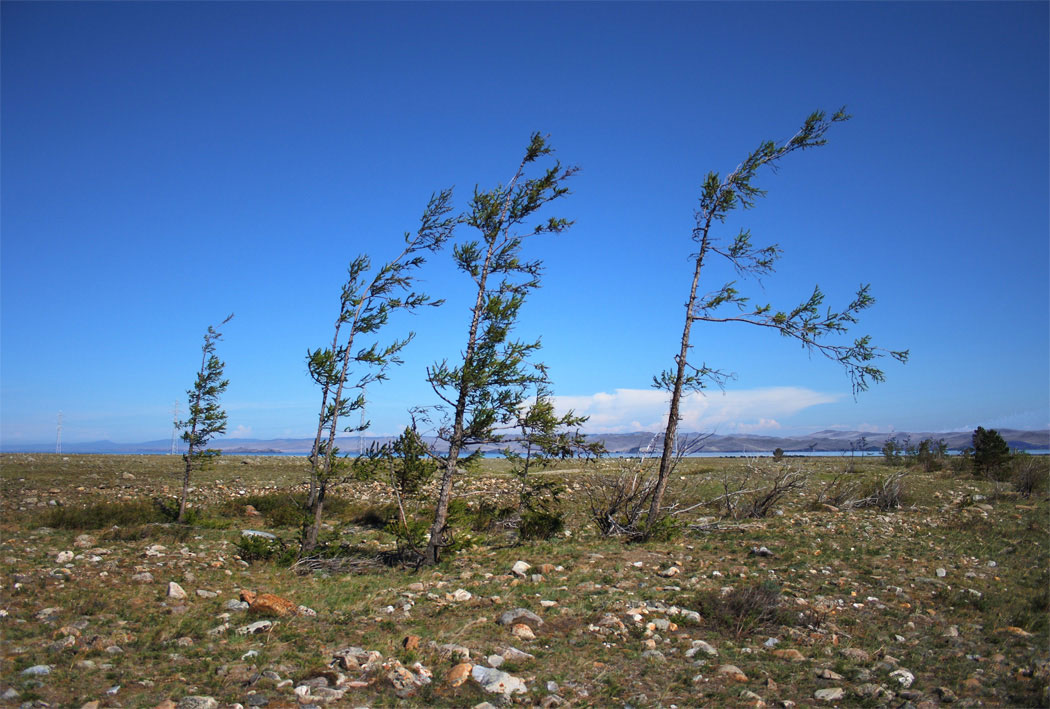 ����������� �����