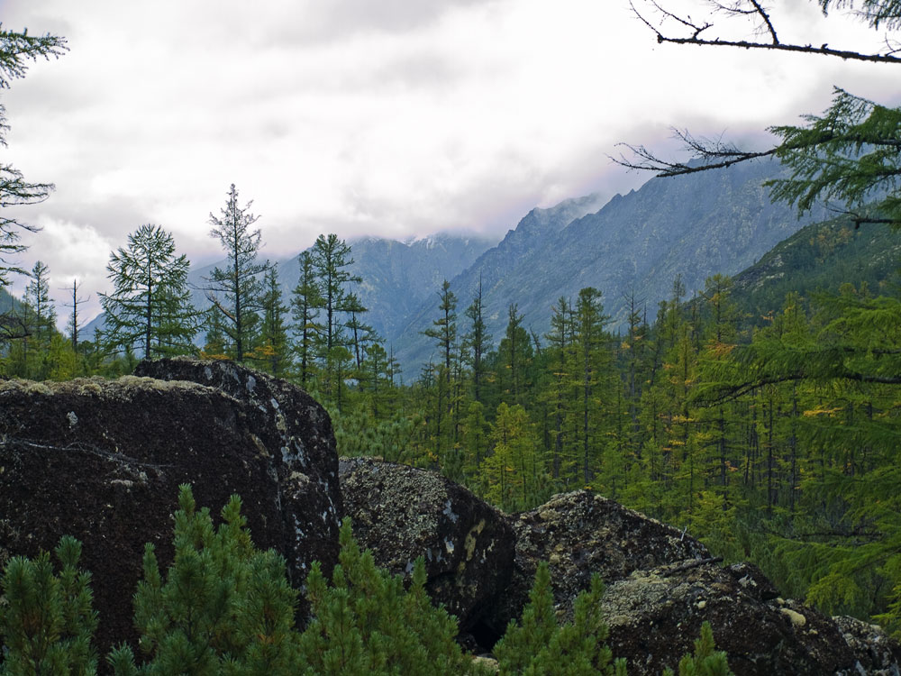 ����� �����