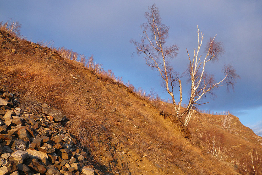 �������� ���������