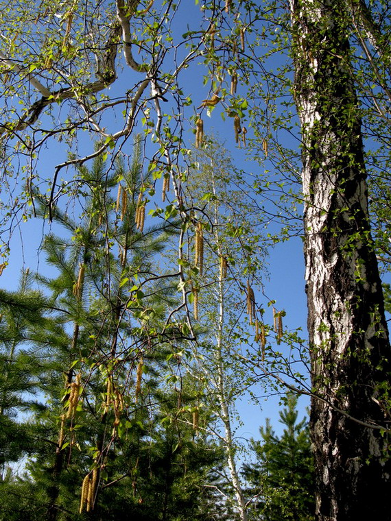  �������� ������������.