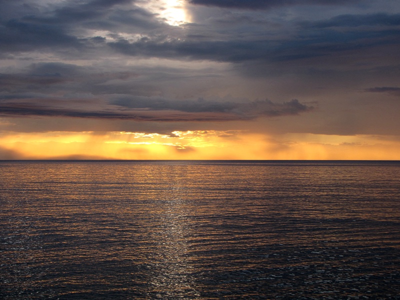 ������� ��� ������ 