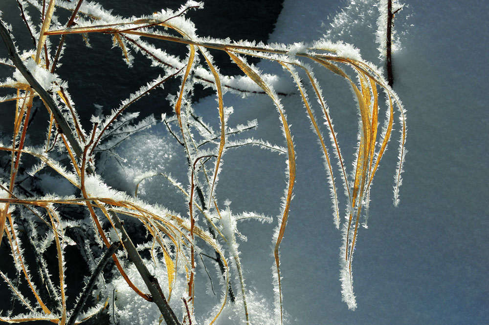 �� ����� ����������...