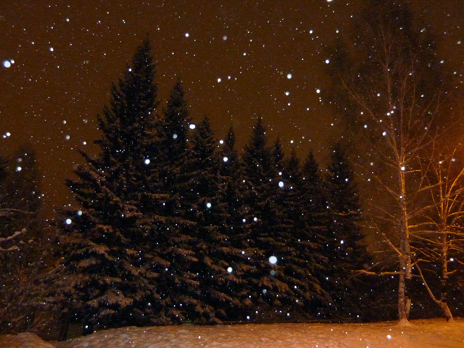 �������� � ������ ����.