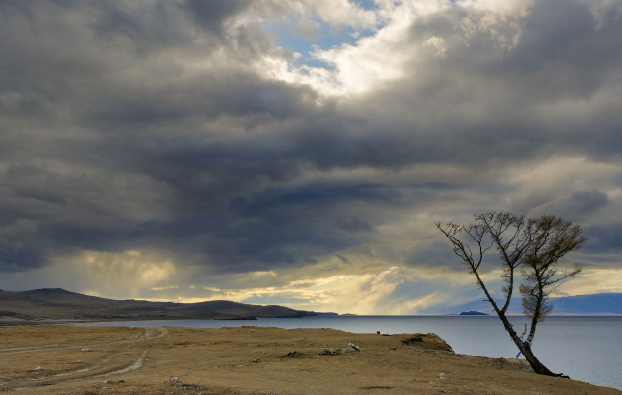 ����� �����....