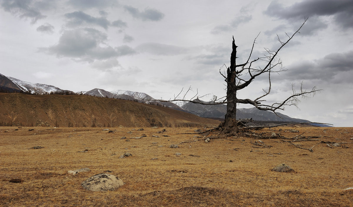 ������ ���...  �����...